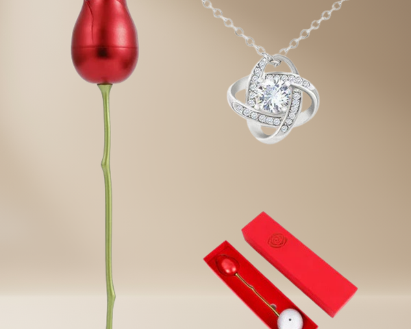 Rose Ăternelle | Collier en argent sterling avec une boĂźte rose de luxe